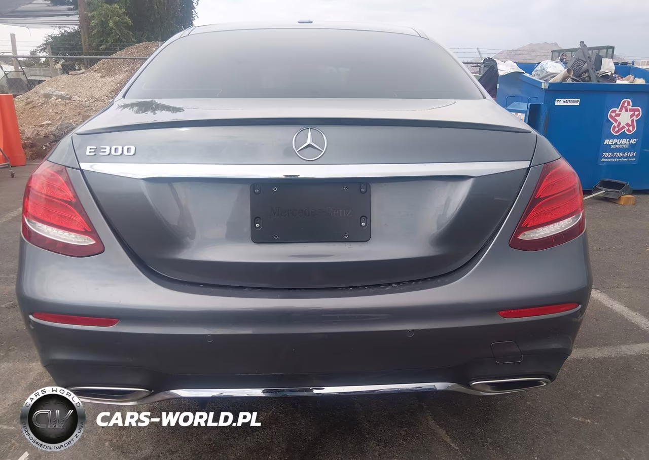 2019 Mercedes-Benz E 300 VIN:WDDZF4JB5KA684804 - 16