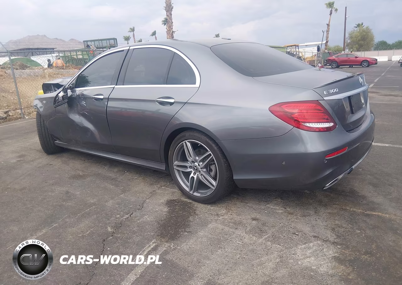 2019 Mercedes-Benz E 300 VIN:WDDZF4JB5KA684804 - 3