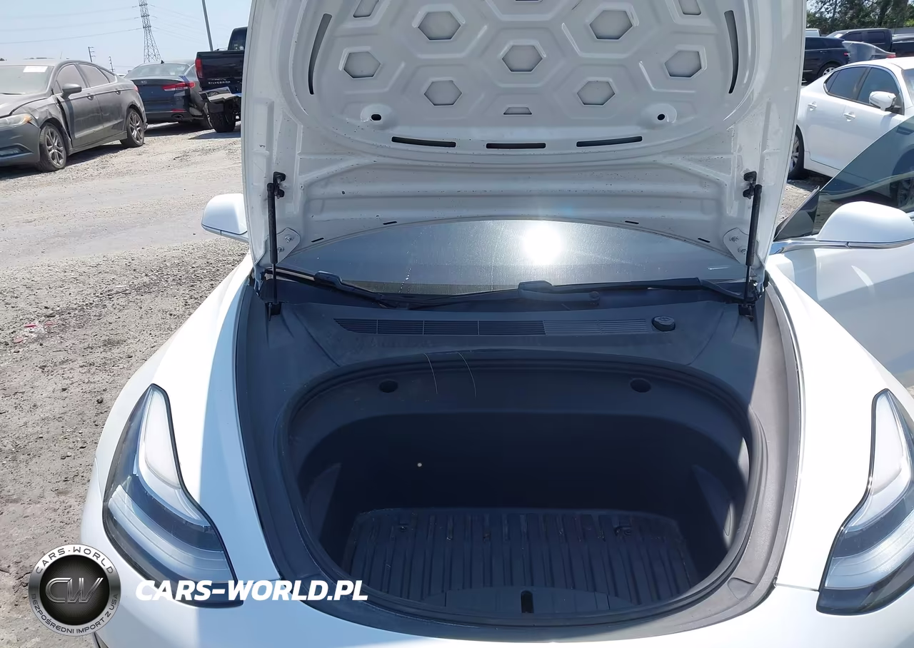 2020 Tesla Model 3 Standard Range Plus Rear-Wheel Drive-Standard Range Rear-Wheel Drive VIN:5YJ3E1EA5LF808033 - 10