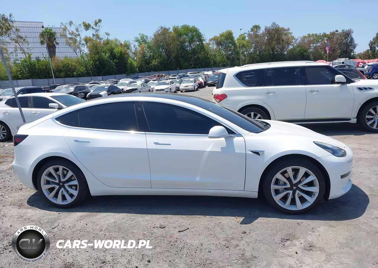 2020 Tesla Model 3 Standard Range Plus Rear-Wheel Drive-Standard Range Rear-Wheel Drive VIN:5YJ3E1EA5LF808033 - 13