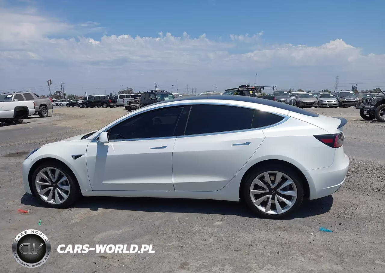 2020 Tesla Model 3 Standard Range Plus Rear-Wheel Drive-Standard Range Rear-Wheel Drive VIN:5YJ3E1EA5LF808033 - 14