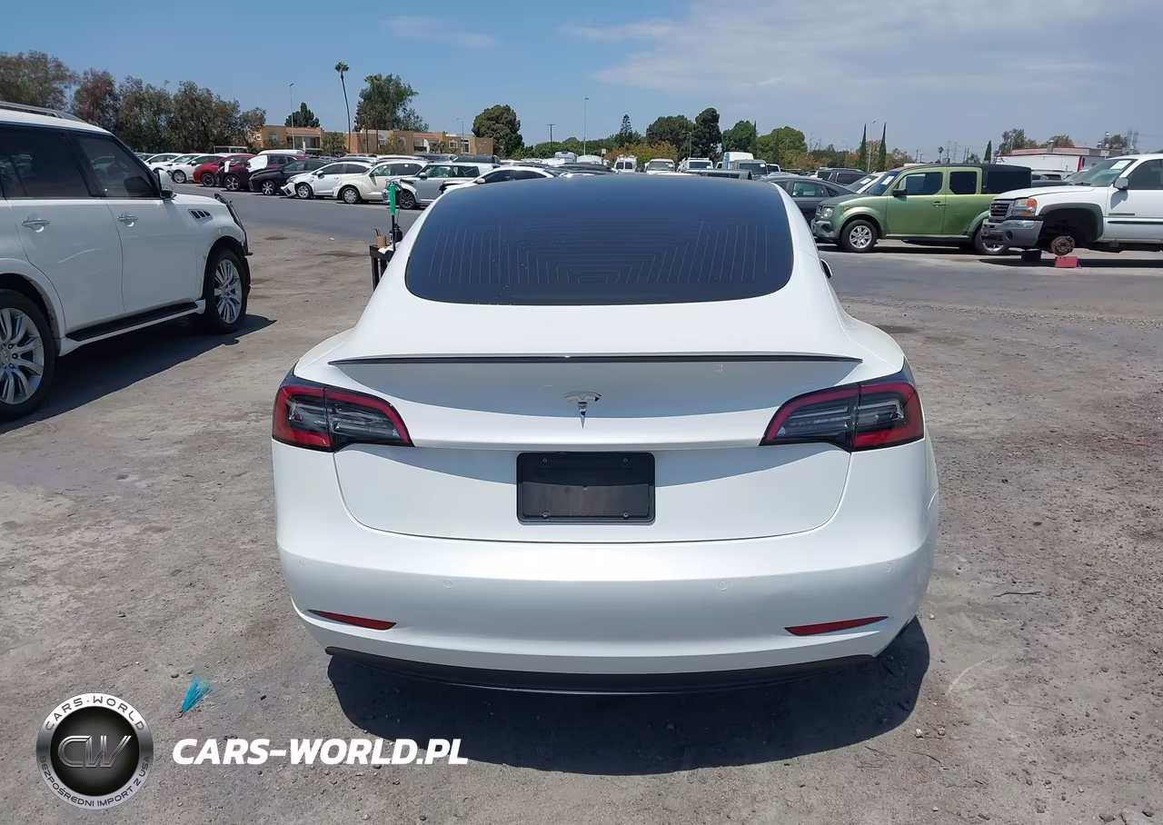 2020 Tesla Model 3 Standard Range Plus Rear-Wheel Drive-Standard Range Rear-Wheel Drive VIN:5YJ3E1EA5LF808033 - 16