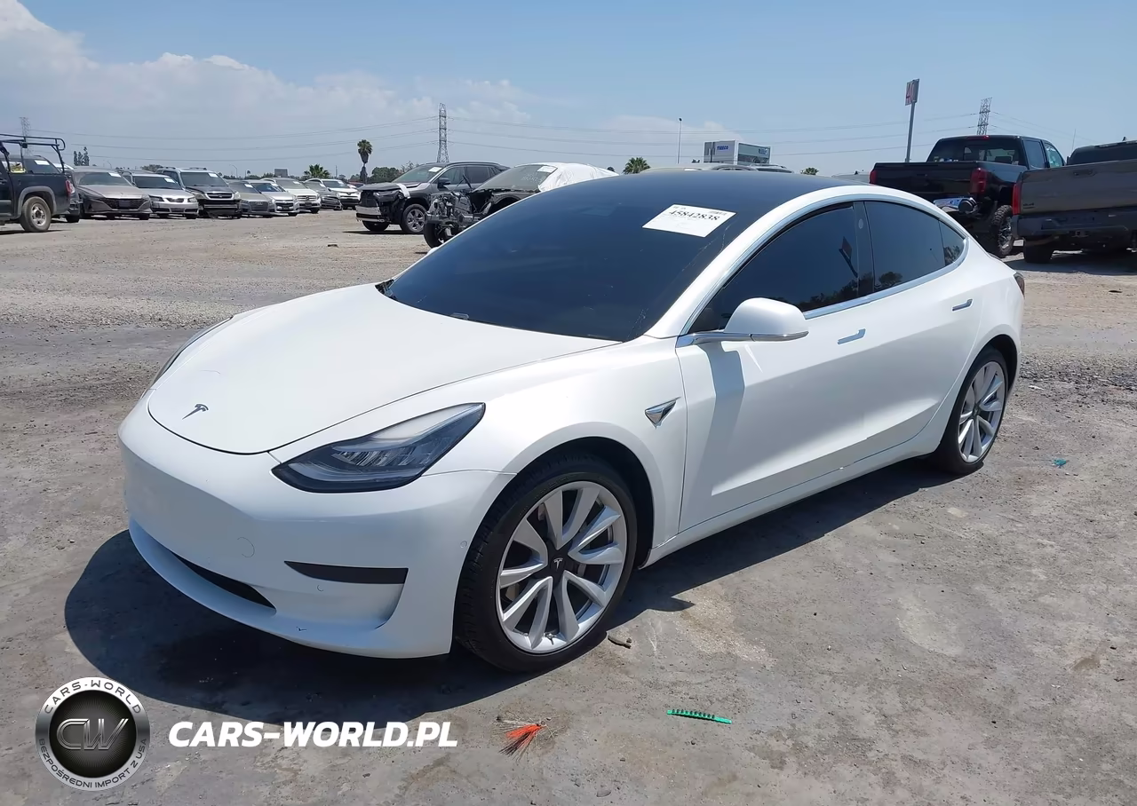 2020 Tesla Model 3 Standard Range Plus Rear-Wheel Drive-Standard Range Rear-Wheel Drive VIN:5YJ3E1EA5LF808033 - 2