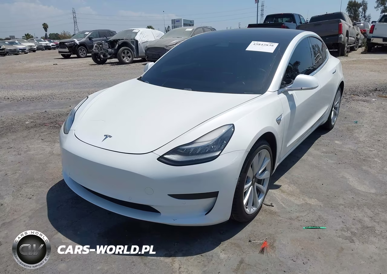 2020 Tesla Model 3 Standard Range Plus Rear-Wheel Drive-Standard Range Rear-Wheel Drive VIN:5YJ3E1EA5LF808033 - 6