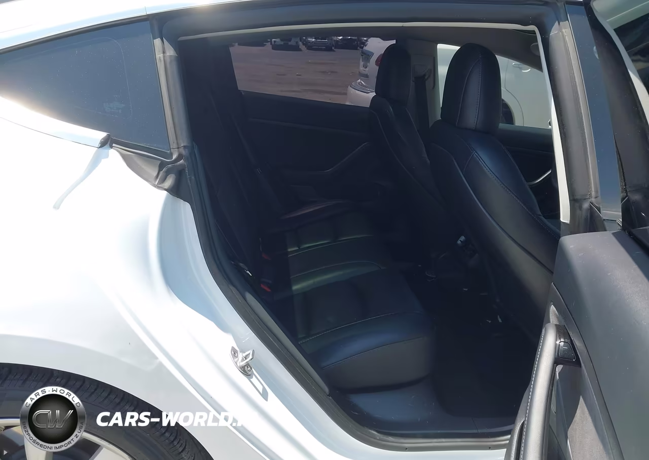 2020 Tesla Model 3 Standard Range Plus Rear-Wheel Drive-Standard Range Rear-Wheel Drive VIN:5YJ3E1EA5LF808033 - 8