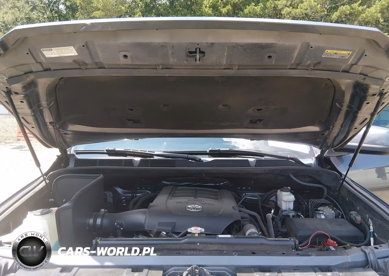2021 Toyota Tundra Trd Pro VIN:5TFDY5F19MX991638 - 10