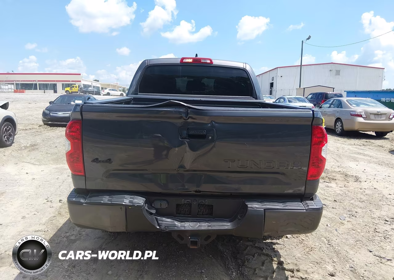 2021 Toyota Tundra Trd Pro VIN:5TFDY5F19MX991638 - 16