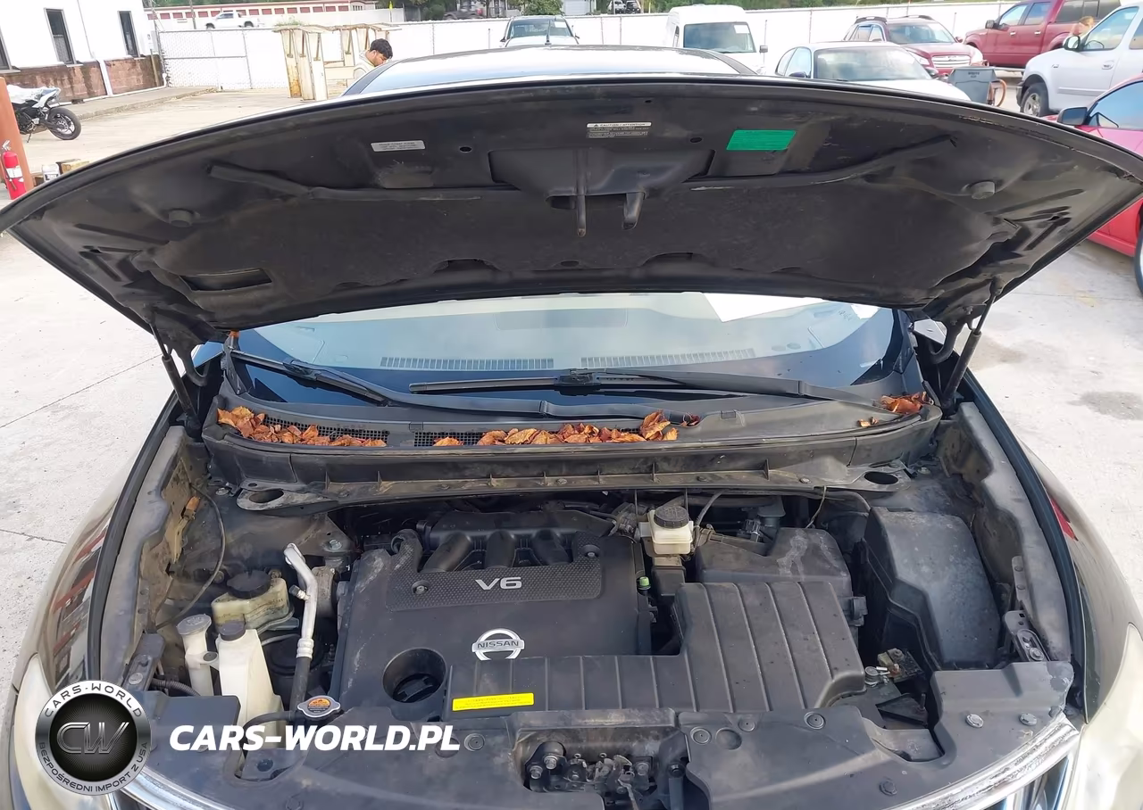 2010 Nissan Murano S VIN:JN8AZ1MW3AW103138 - 10