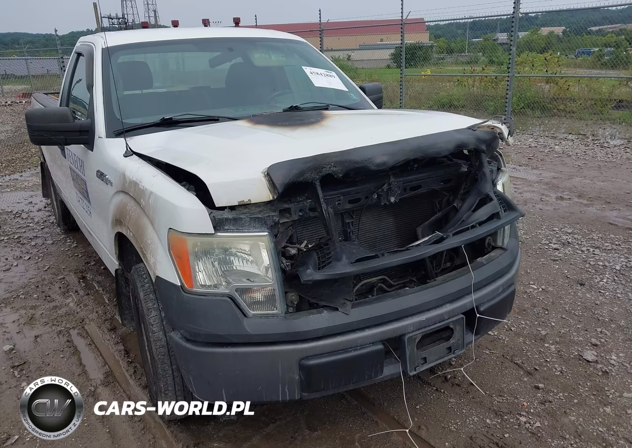 2009 Ford F-150 Stx-Xl-Xl W-Midbox Prep-Xlt-Xlt W-Midbox Prep VIN:1FTRF12W29KB32093 - 6