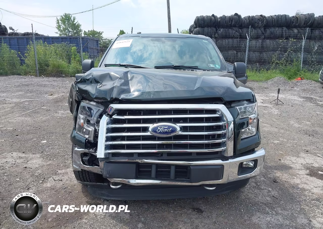2016 Ford F-150 Xlt VIN:1FTEW1EP4GFB74242 - 12