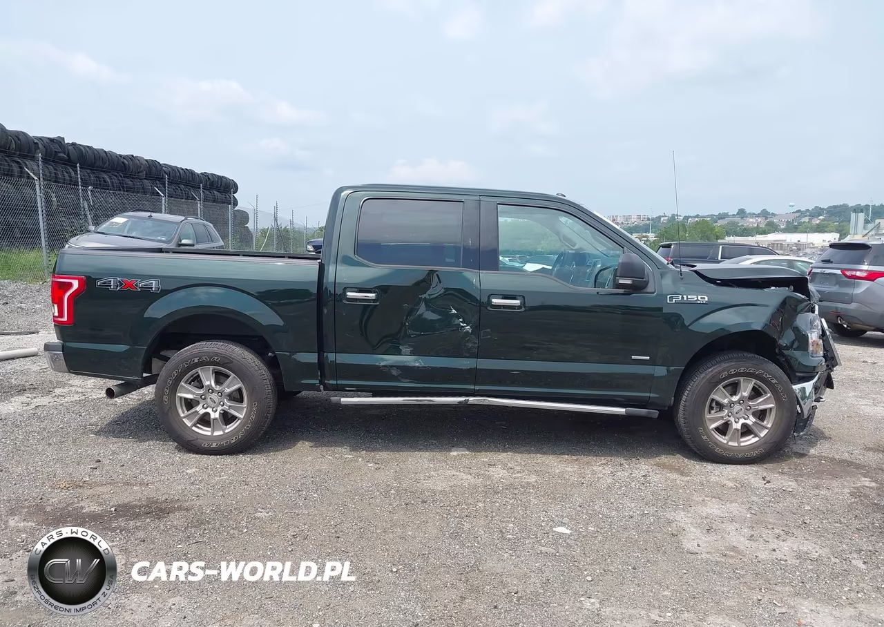 2016 Ford F-150 Xlt VIN:1FTEW1EP4GFB74242 - 13