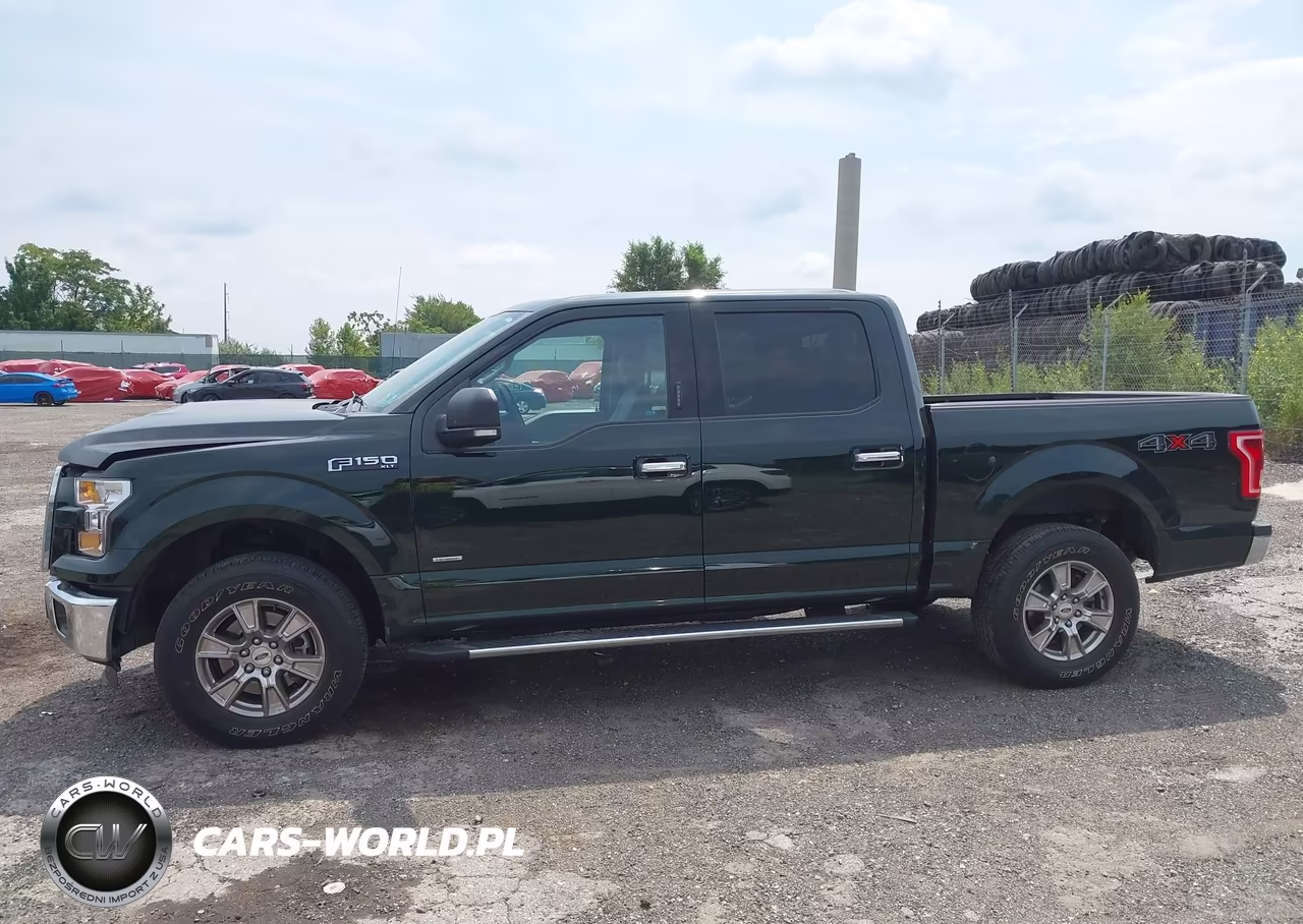 2016 Ford F-150 Xlt VIN:1FTEW1EP4GFB74242 - 14
