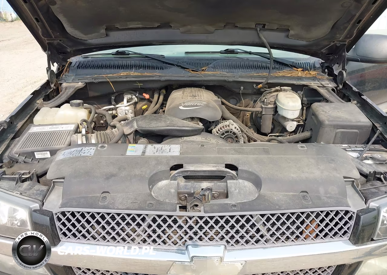 2003 Chevrolet Silverado 1500 Ls VIN:1GCEK19T73E134711 - 10