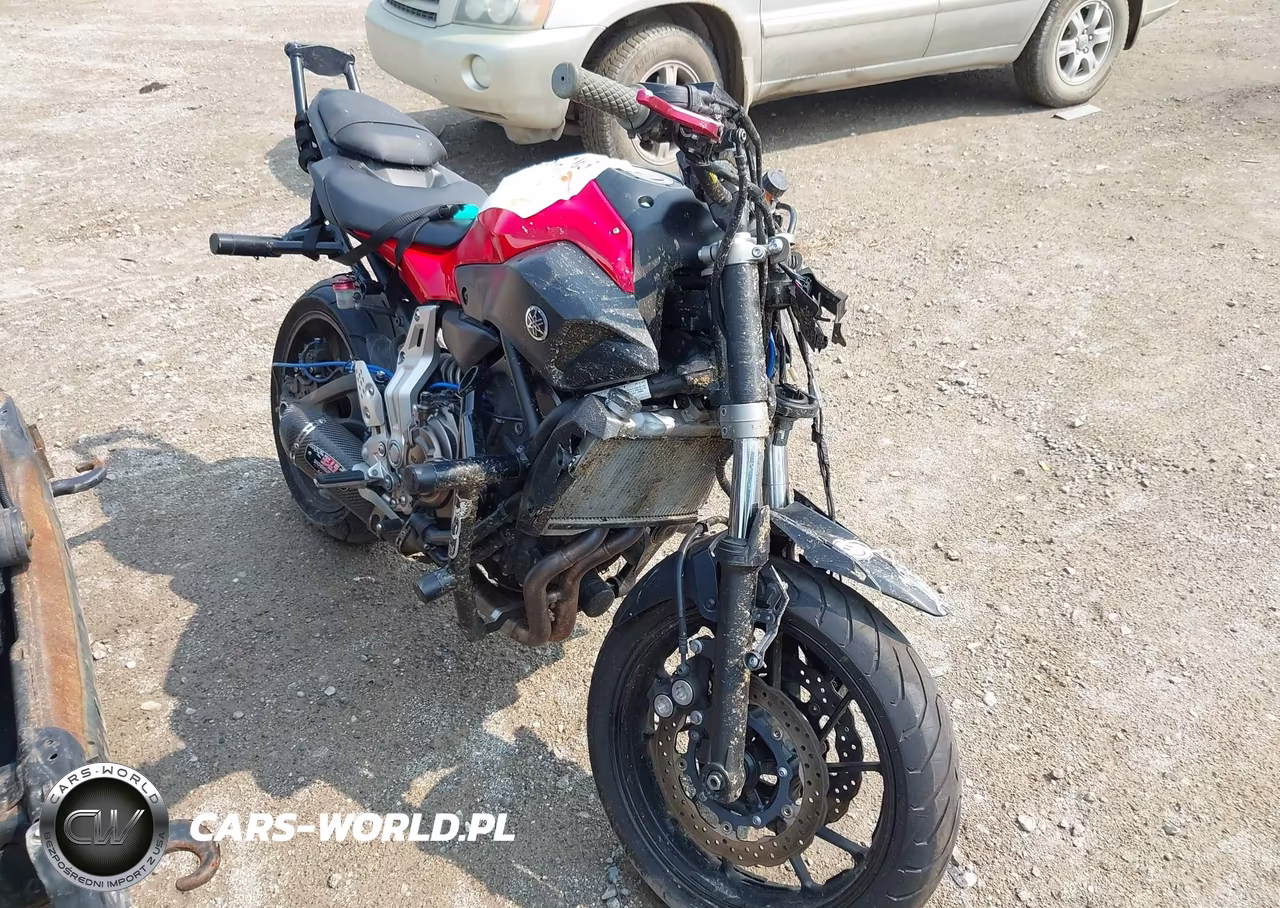 2015 Yamaha Fz07