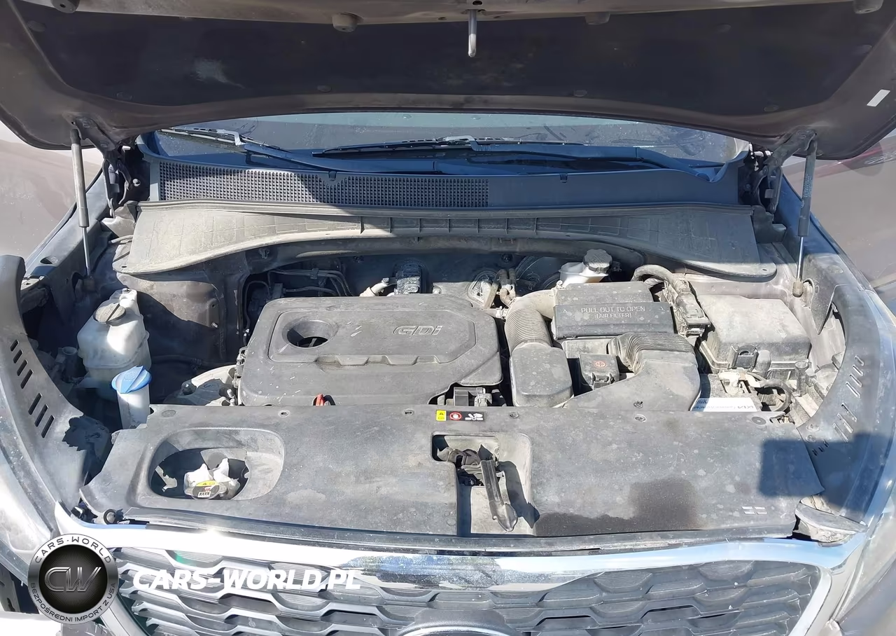 2019 Kia Sorento 2.4L Lx VIN:5XYPG4A32KG547536 - 10