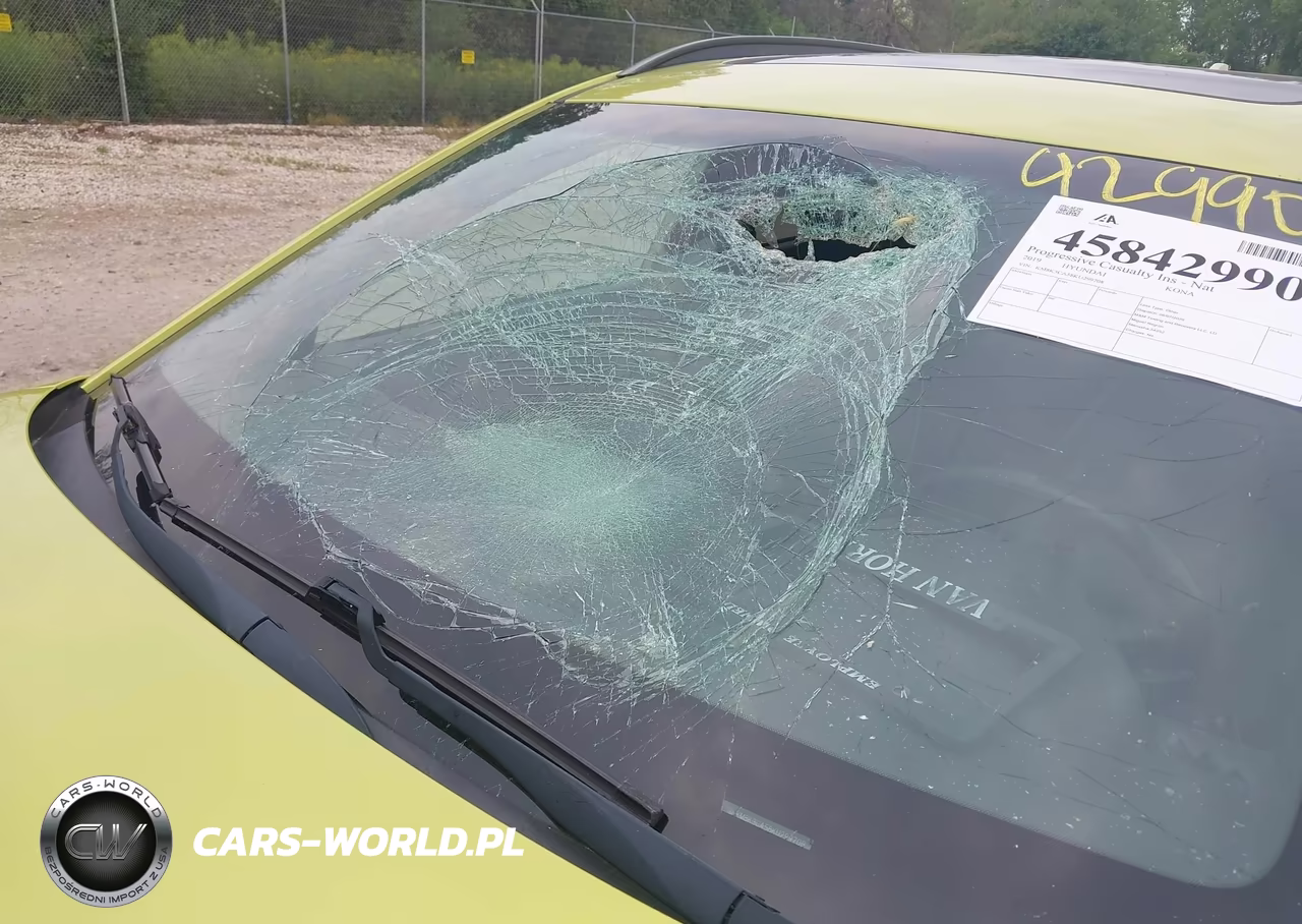 2019 Hyundai Kona Limited VIN:KM8K3CA58KU299708 - 18