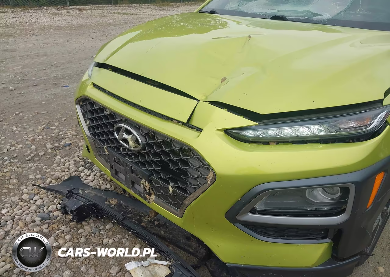 2019 Hyundai Kona Limited VIN:KM8K3CA58KU299708 - 6
