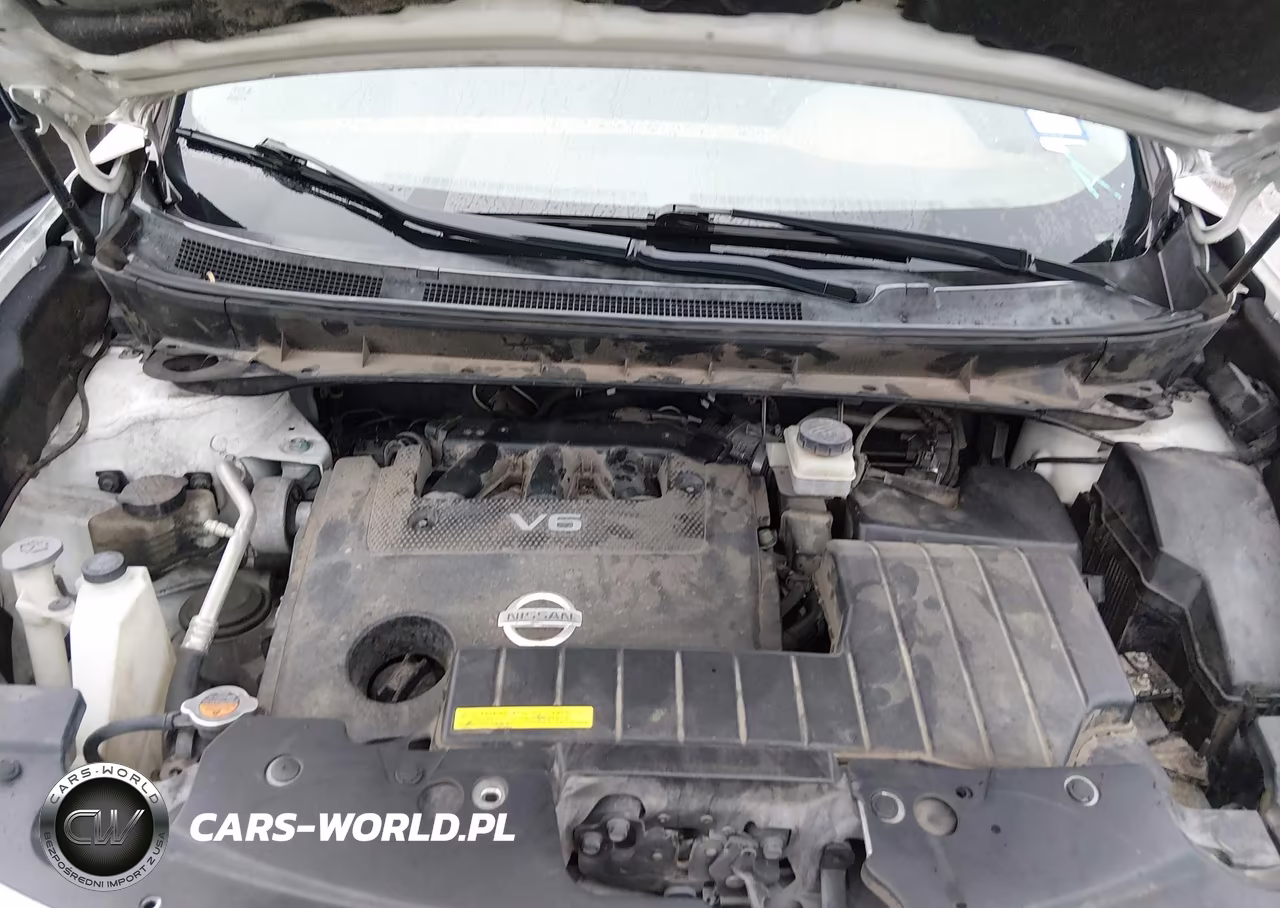 2013 Nissan Murano Le VIN:JN8AZ1MUXDW208990 - 10