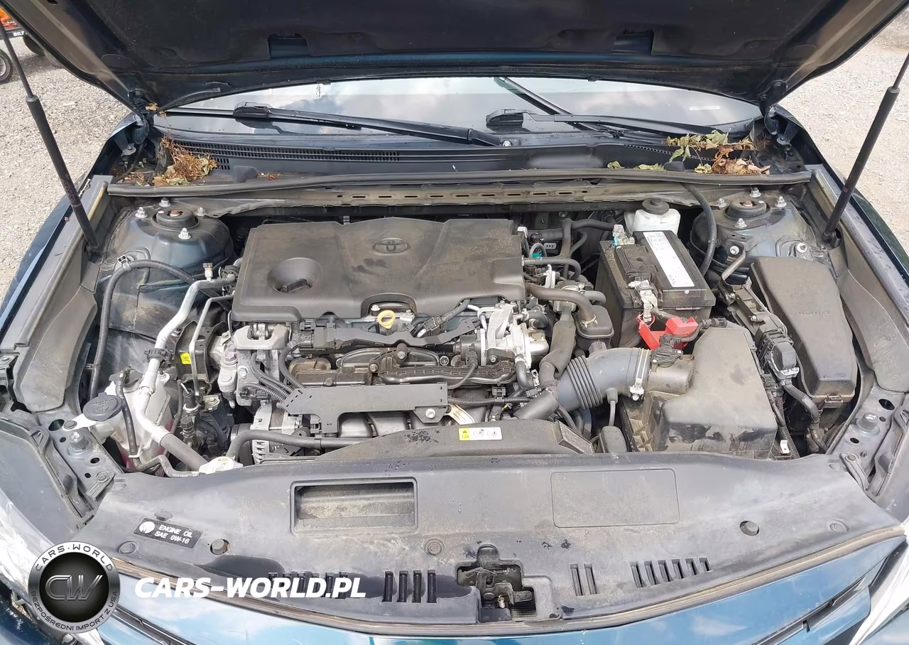2019 Toyota Camry Le VIN:4T1B11HK0KU796788 - 10