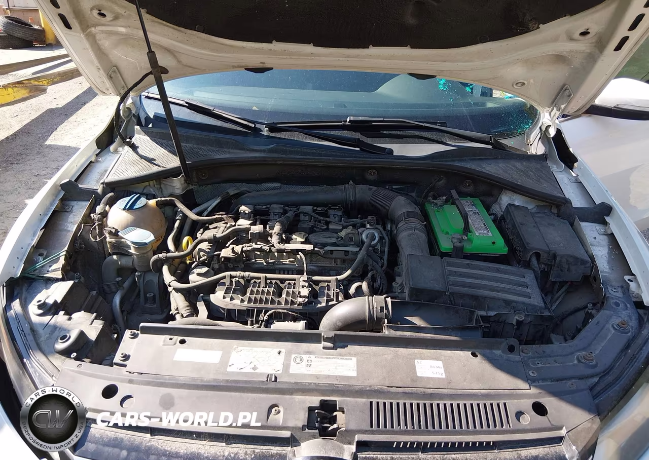 2014 Volkswagen Passat 1.8T Se VIN:1VWBS7A33EC060216 - 10