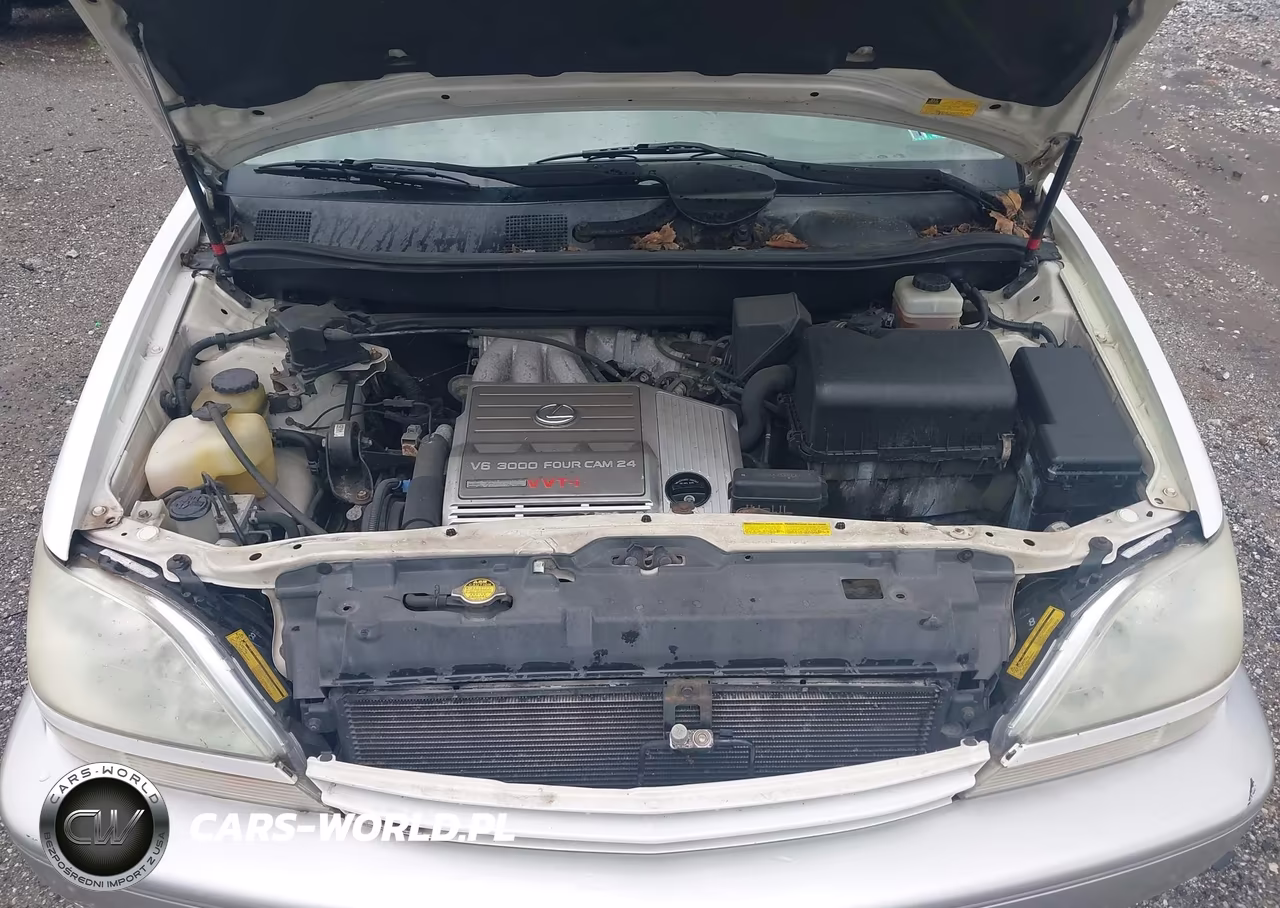 2002 Lexus Rx 300 VIN:JTJHF10U020282098 - 10