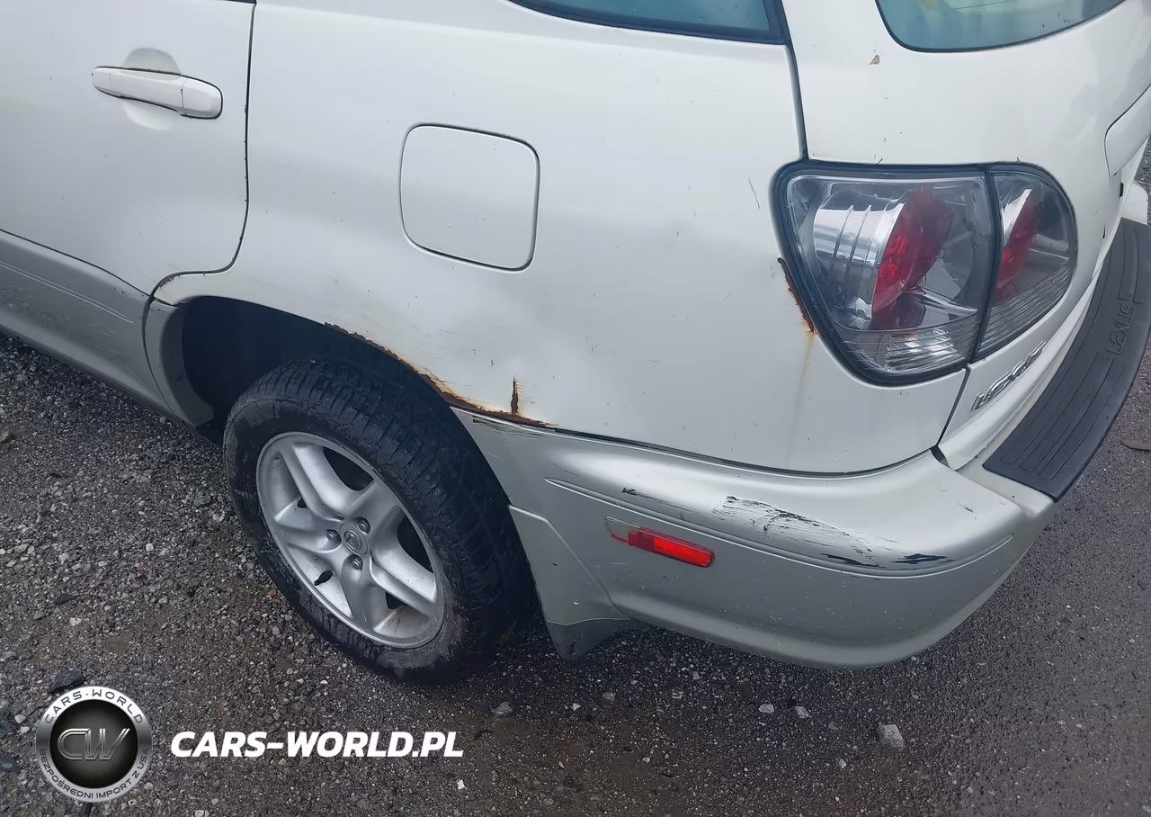 2002 Lexus Rx 300 VIN:JTJHF10U020282098 - 12