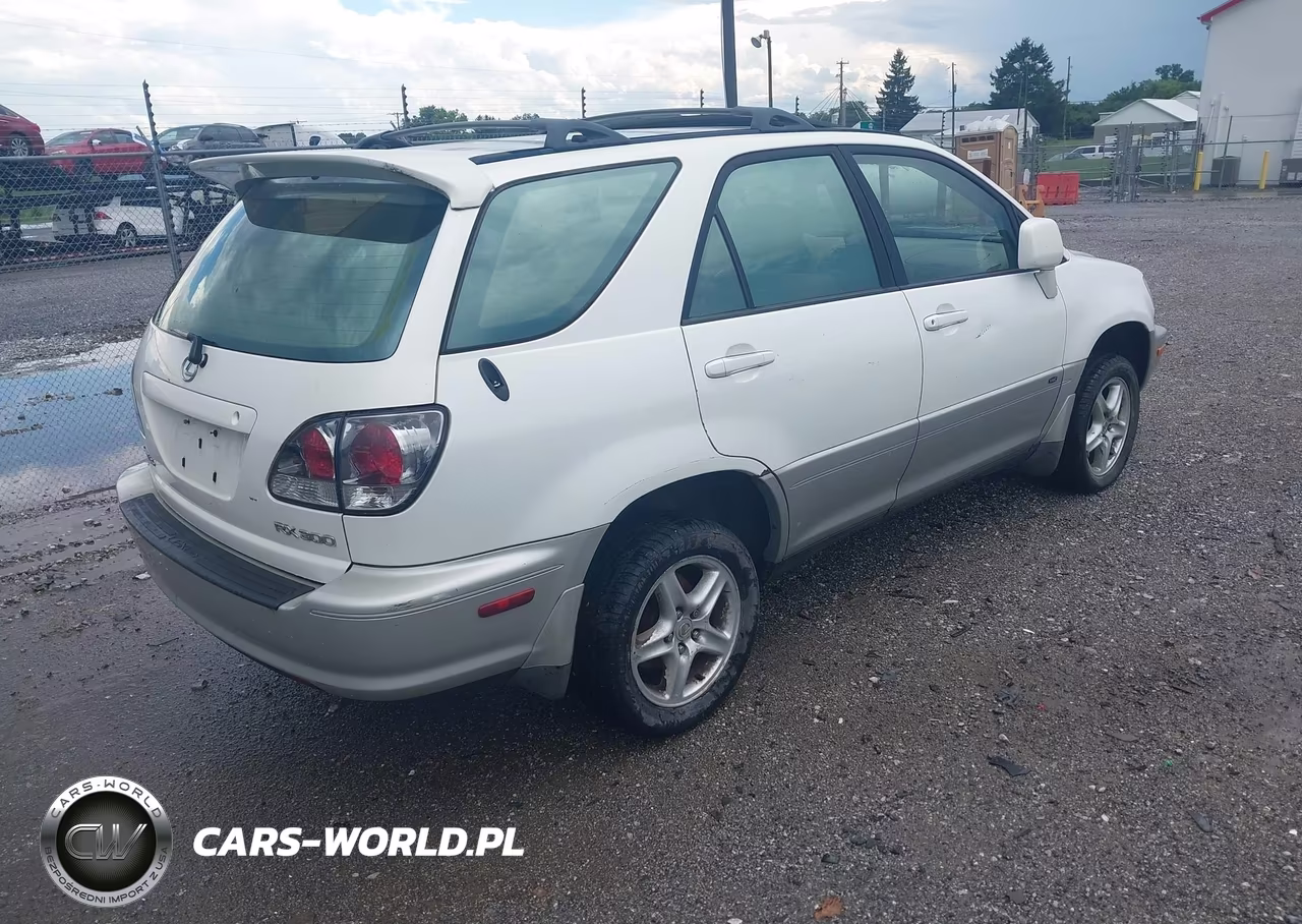 2002 Lexus Rx 300 VIN:JTJHF10U020282098 - 4