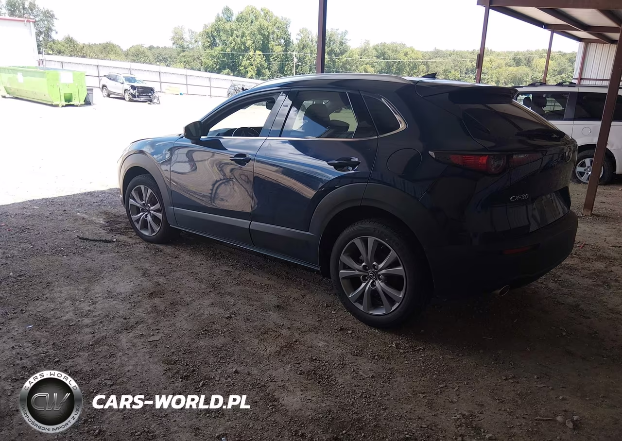 2020 Mazda Cx-30 Premium Package VIN:3MVDMAEM5LM123607 - 3