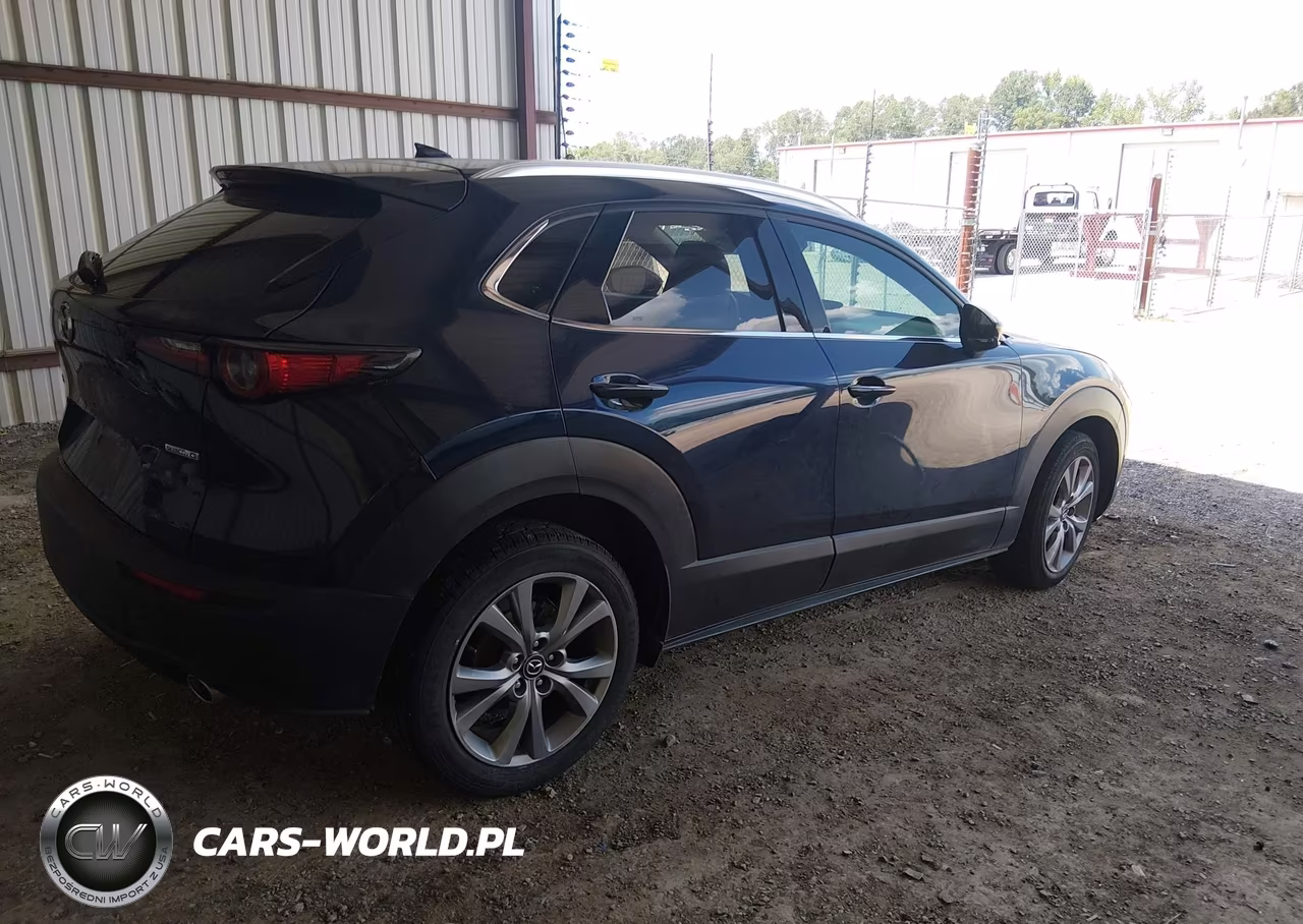 2020 Mazda Cx-30 Premium Package VIN:3MVDMAEM5LM123607 - 4