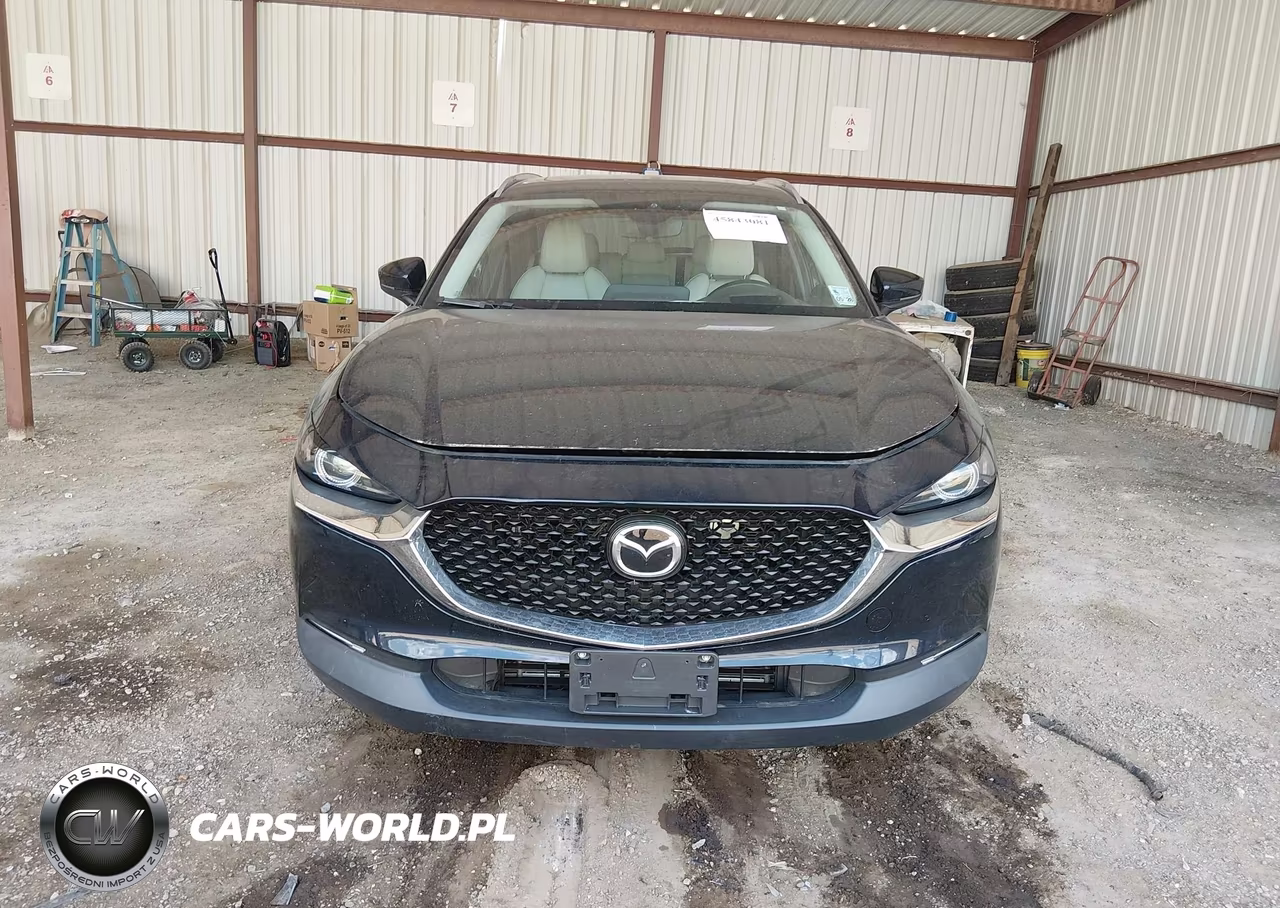 2020 Mazda Cx-30 Premium Package VIN:3MVDMAEM5LM123607 - 6