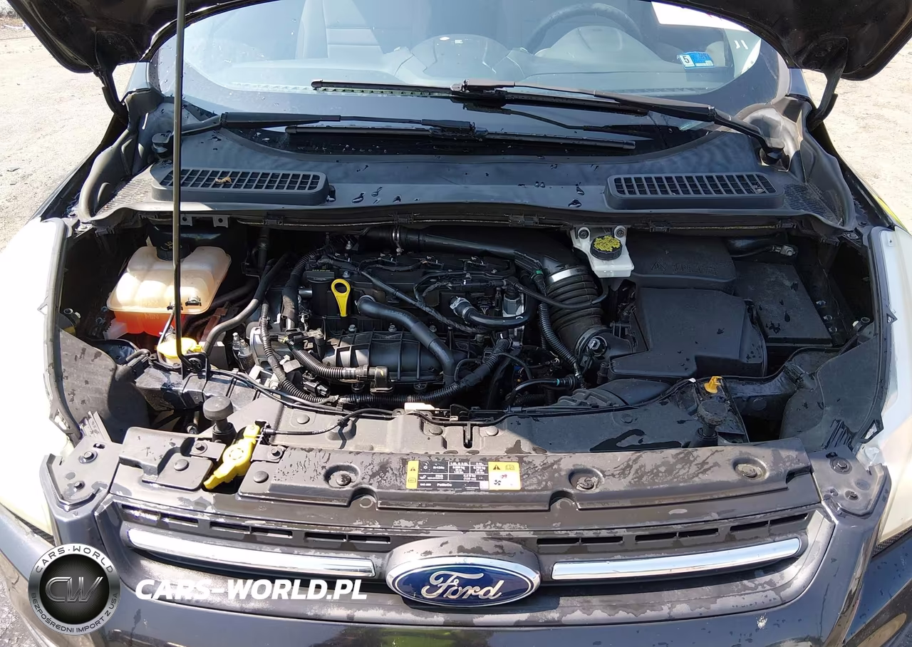 2015 Ford Escape Se VIN:1FMCU0GX7FUC73776 - 10