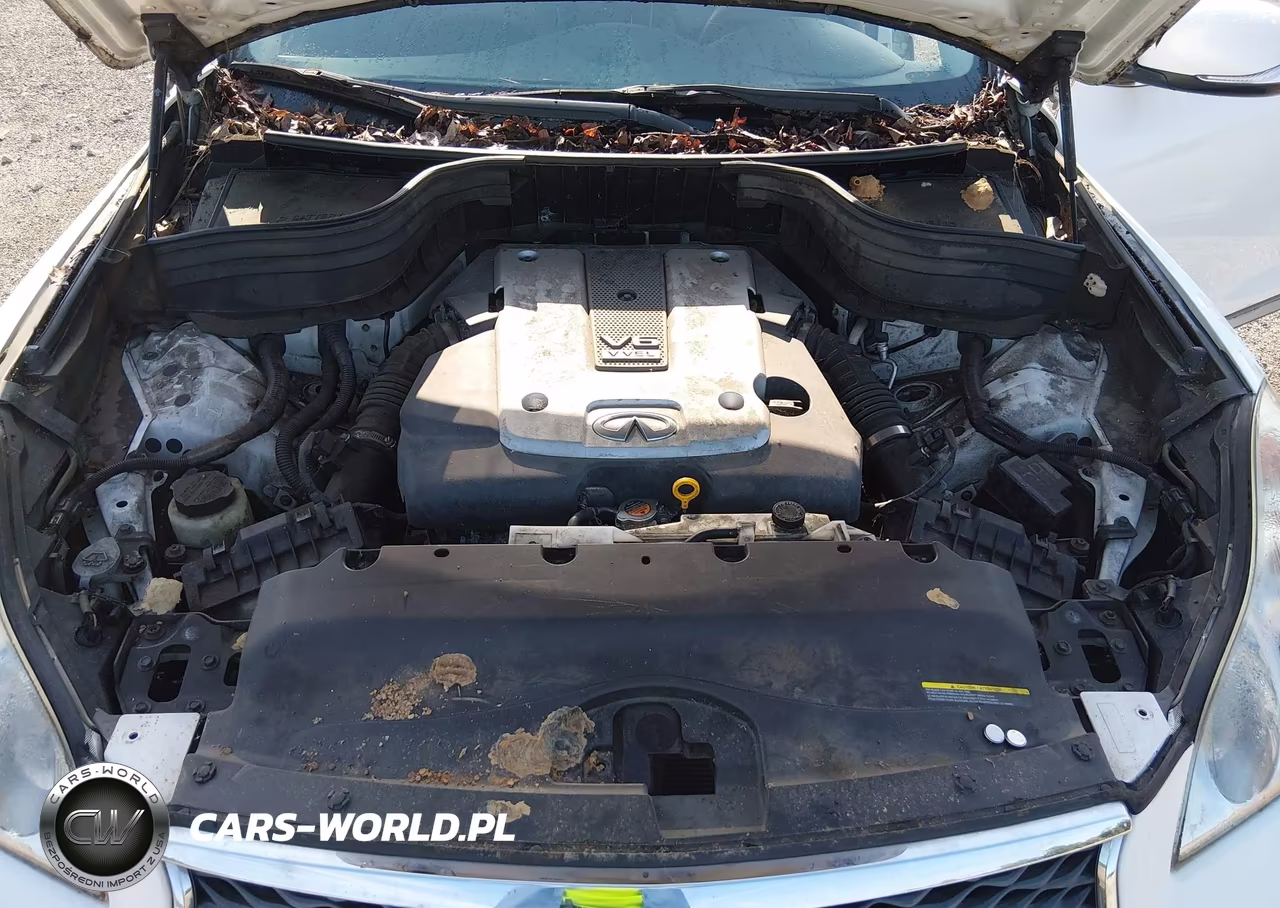 2017 Infiniti Qx50 VIN:JN1BJ0RR8HM403691 - 10