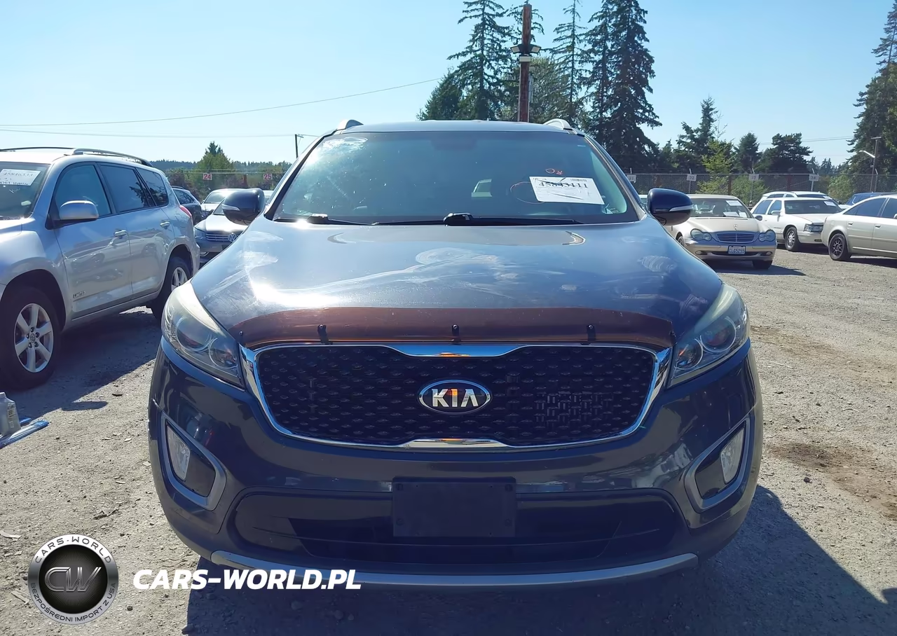 2016 Kia Sorento 2.0T Ex VIN:5XYPHDA11GG028397 - 12