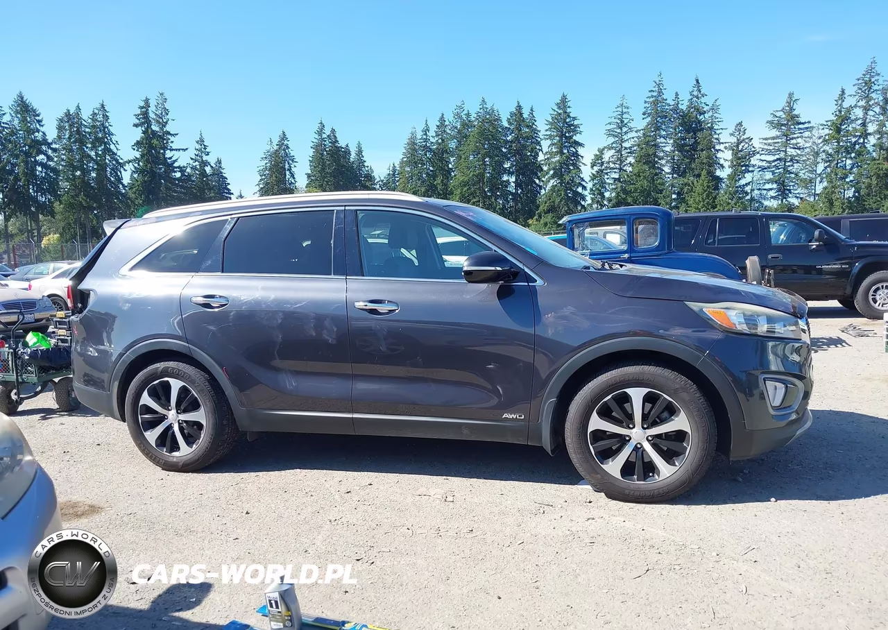 2016 Kia Sorento 2.0T Ex VIN:5XYPHDA11GG028397 - 13