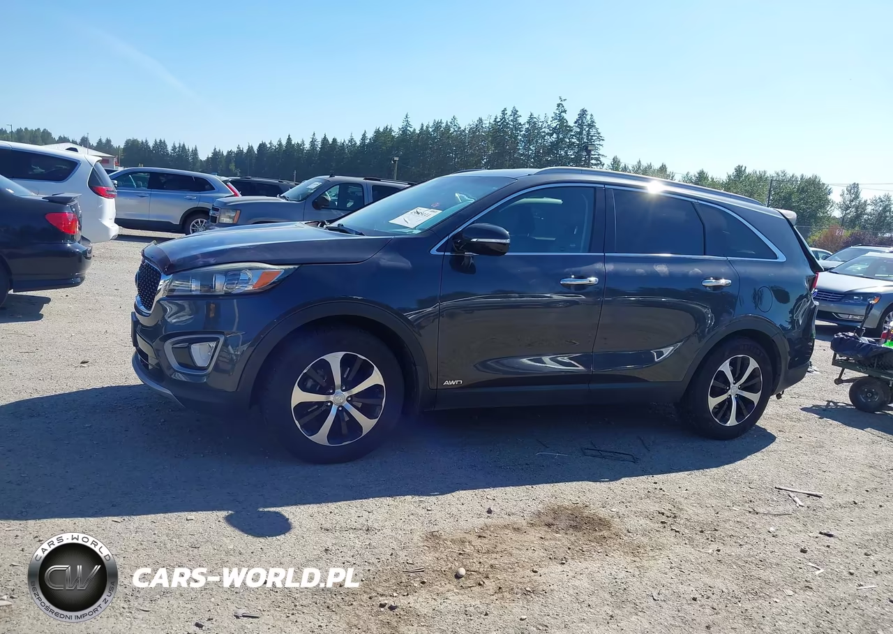 2016 Kia Sorento 2.0T Ex VIN:5XYPHDA11GG028397 - 14