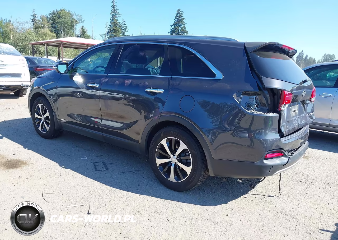 2016 Kia Sorento 2.0T Ex VIN:5XYPHDA11GG028397 - 3