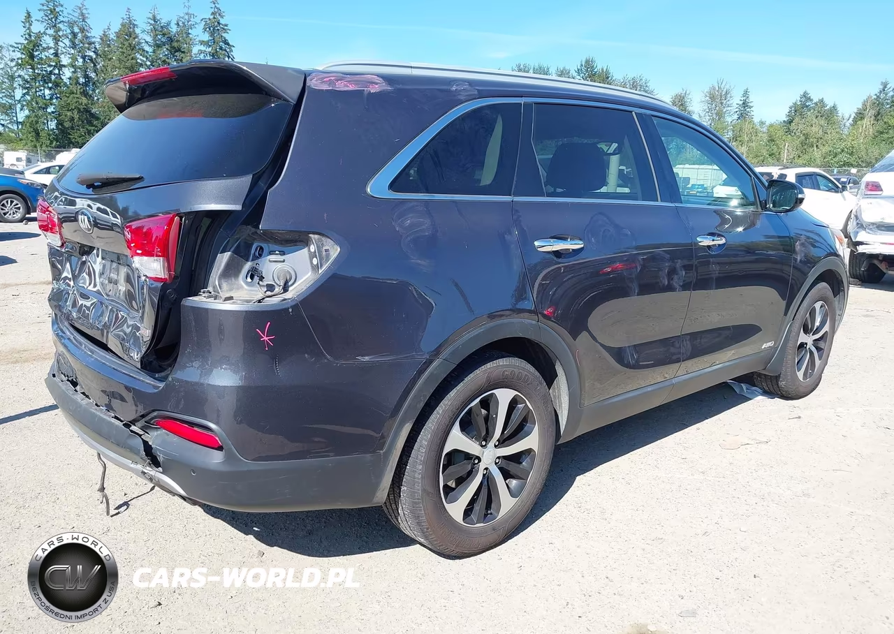 2016 Kia Sorento 2.0T Ex VIN:5XYPHDA11GG028397 - 4
