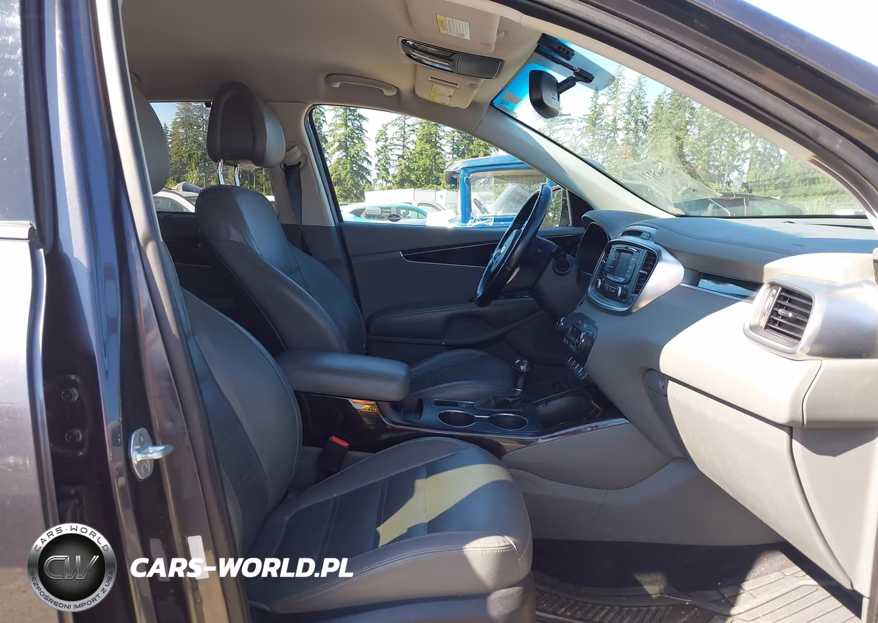 2016 Kia Sorento 2.0T Ex VIN:5XYPHDA11GG028397 - 5