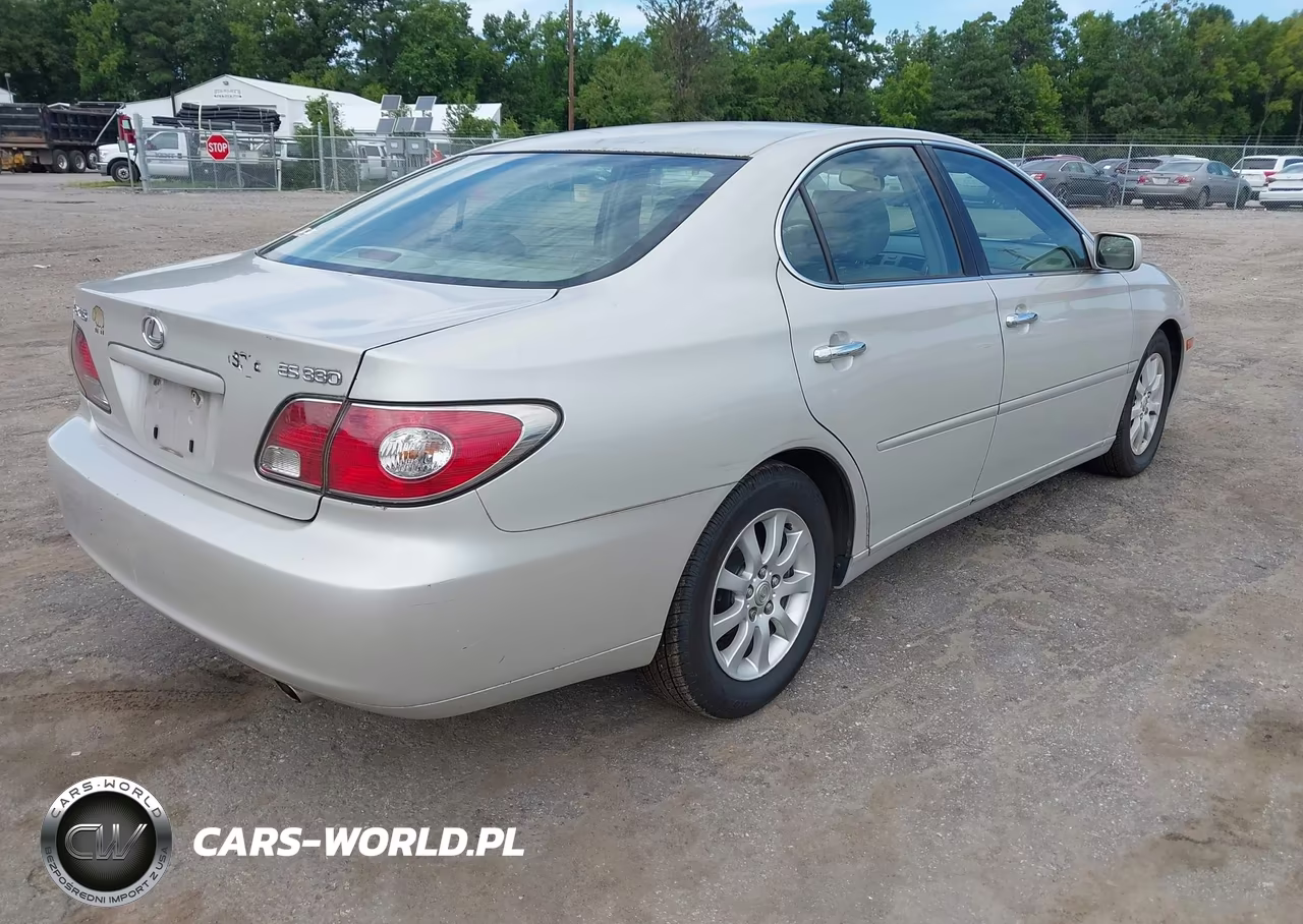 2004 Lexus Es 330 VIN:JTHBA30G245020035 - 4