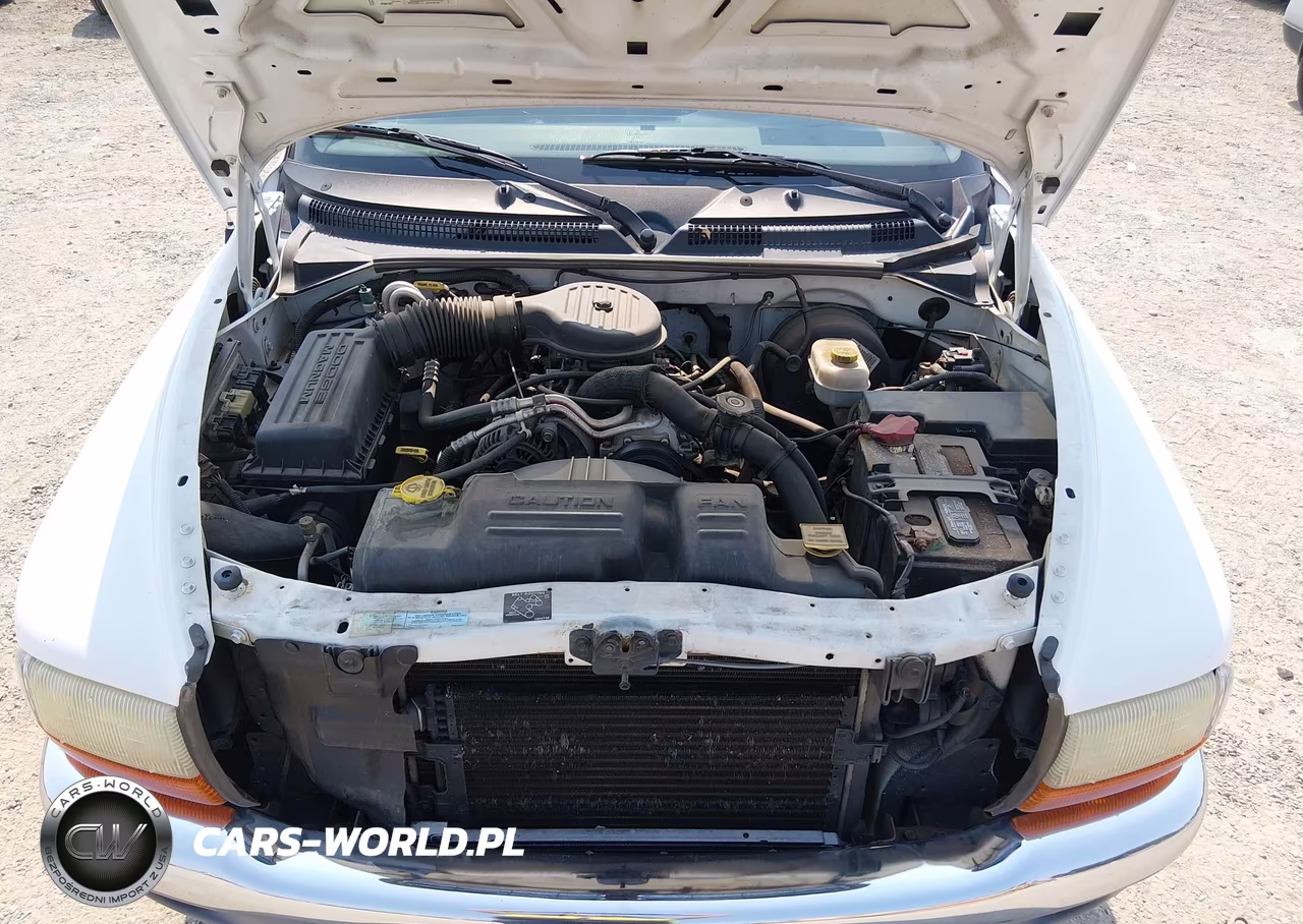 2001 Dodge Dakota Slt-Sport VIN:1B7GL26X21S318813 - 10