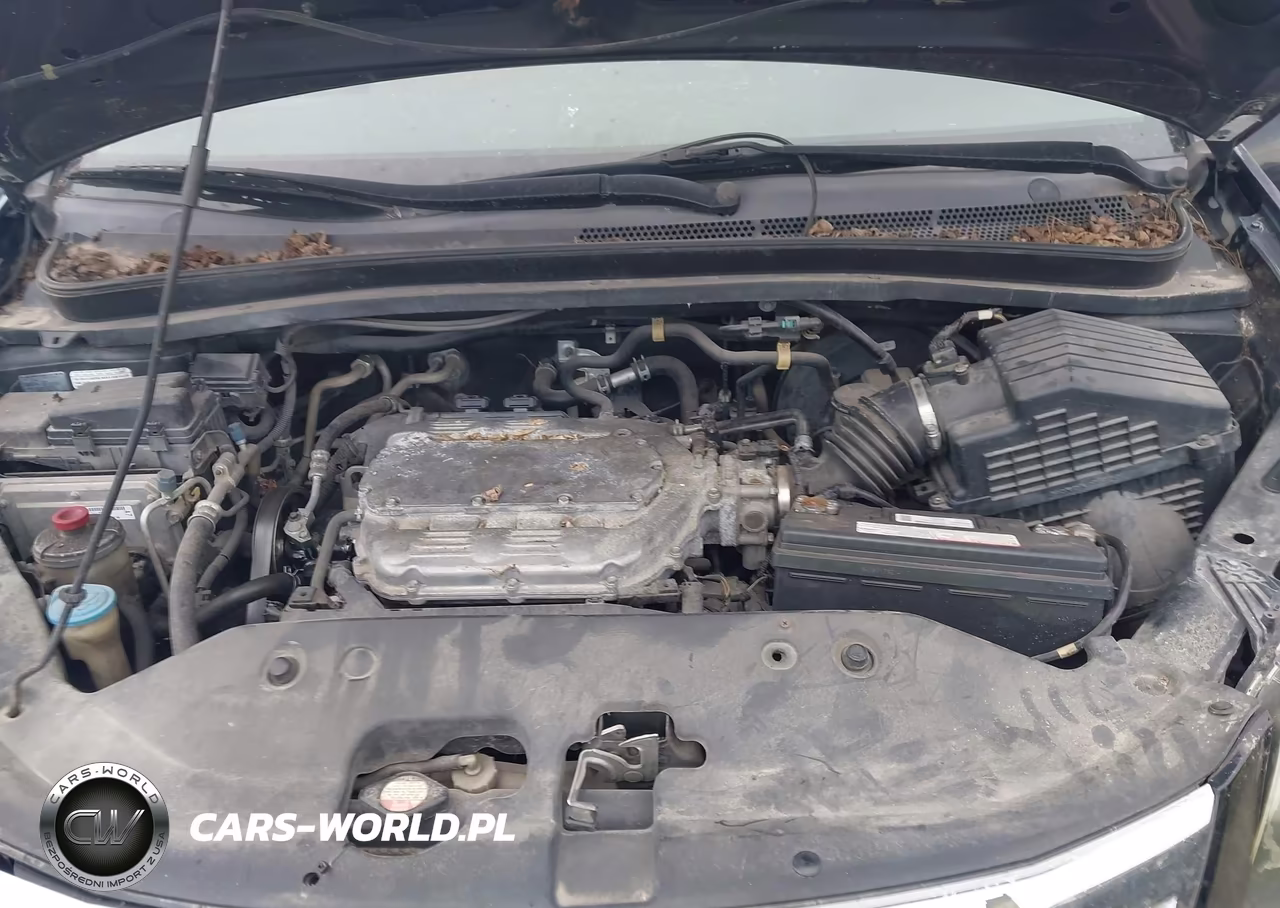 2009 Honda Odyssey Ex-L VIN:5FNRL386X9B056146 - 10