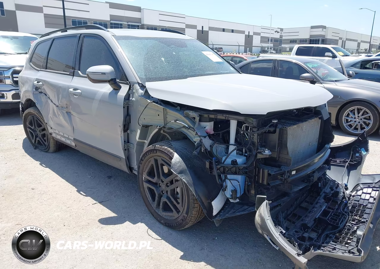 2025 Kia Telluride Sx Prestige X-Line VIN:5XYP5DGC8SG730985 - 1