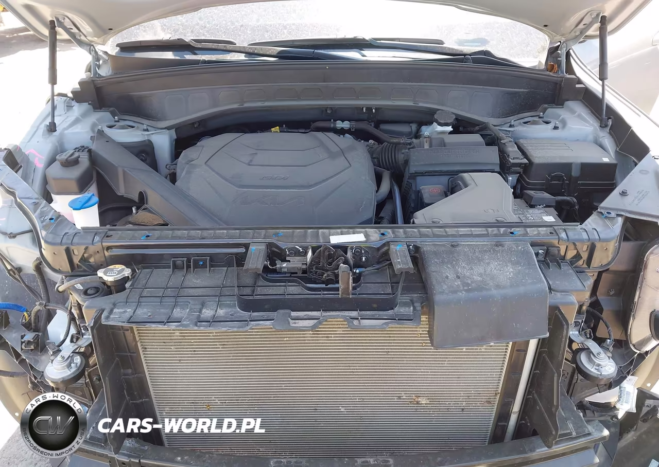 2025 Kia Telluride Sx Prestige X-Line VIN:5XYP5DGC8SG730985 - 10