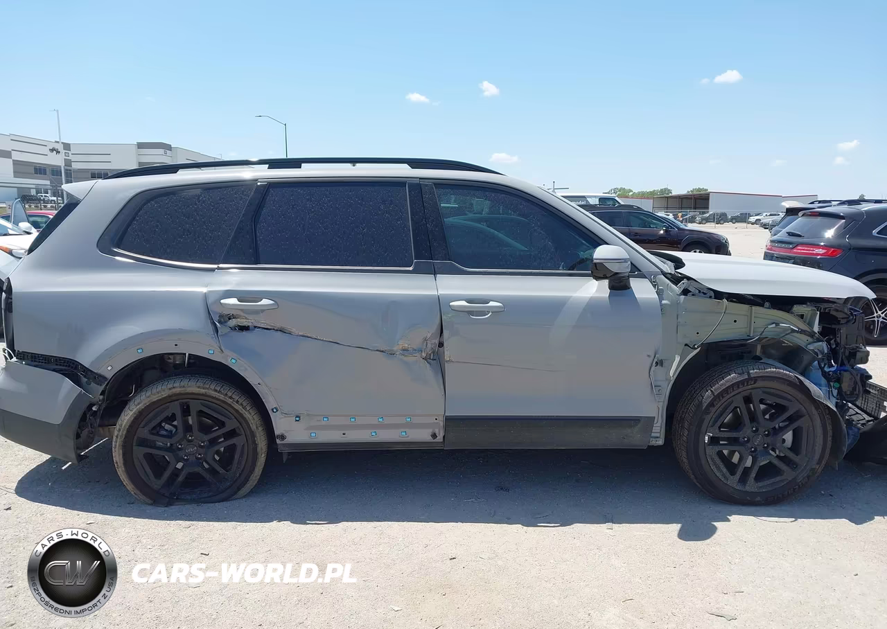 2025 Kia Telluride Sx Prestige X-Line VIN:5XYP5DGC8SG730985 - 13