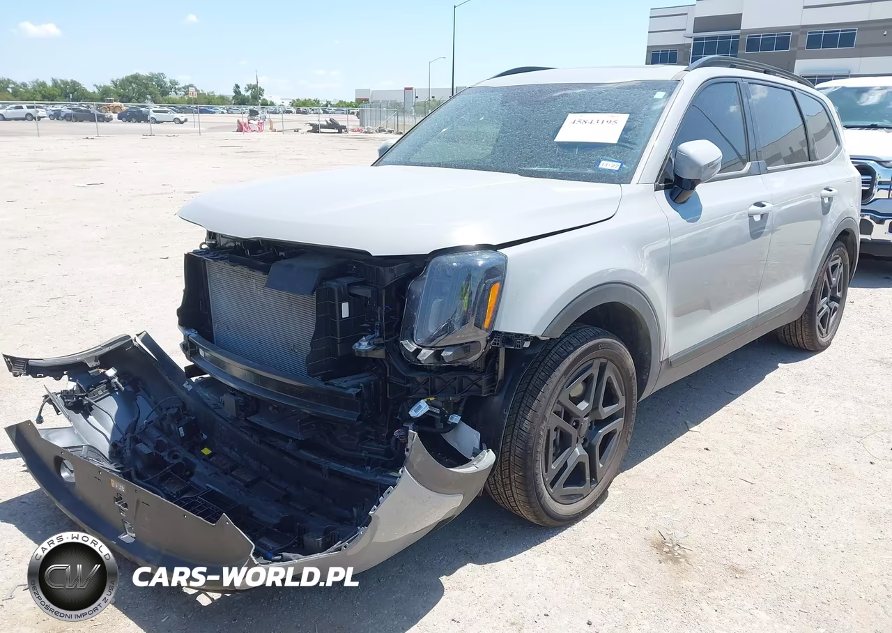 2025 Kia Telluride Sx Prestige X-Line VIN:5XYP5DGC8SG730985 - 2