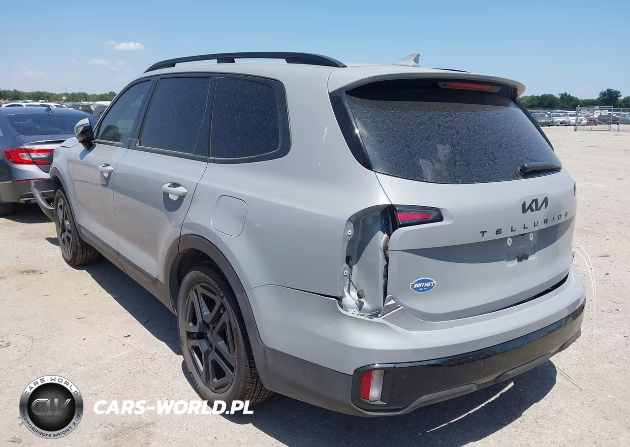 2025 Kia Telluride Sx Prestige X-Line VIN:5XYP5DGC8SG730985 - 3