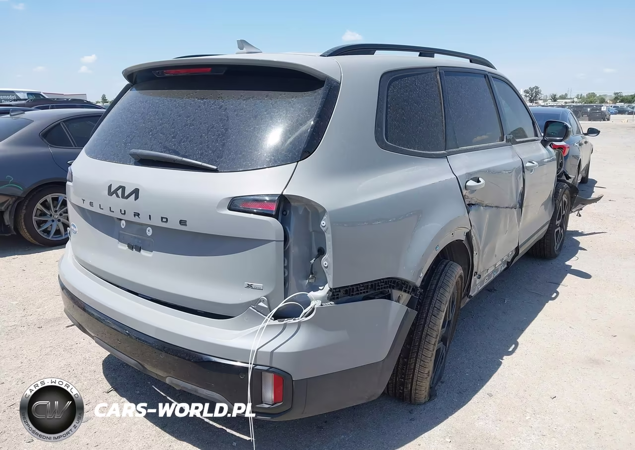 2025 Kia Telluride Sx Prestige X-Line VIN:5XYP5DGC8SG730985 - 4