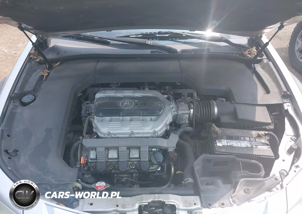 2010 Acura Tl 3.7 VIN:19UUA9F59AA004132 - 10