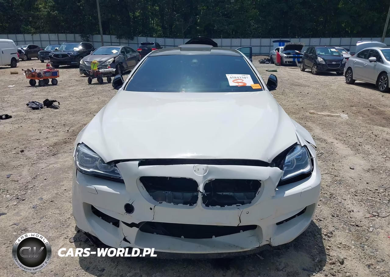 2016 BMW M6 VIN:WBS6J9C50GD934495 - 13