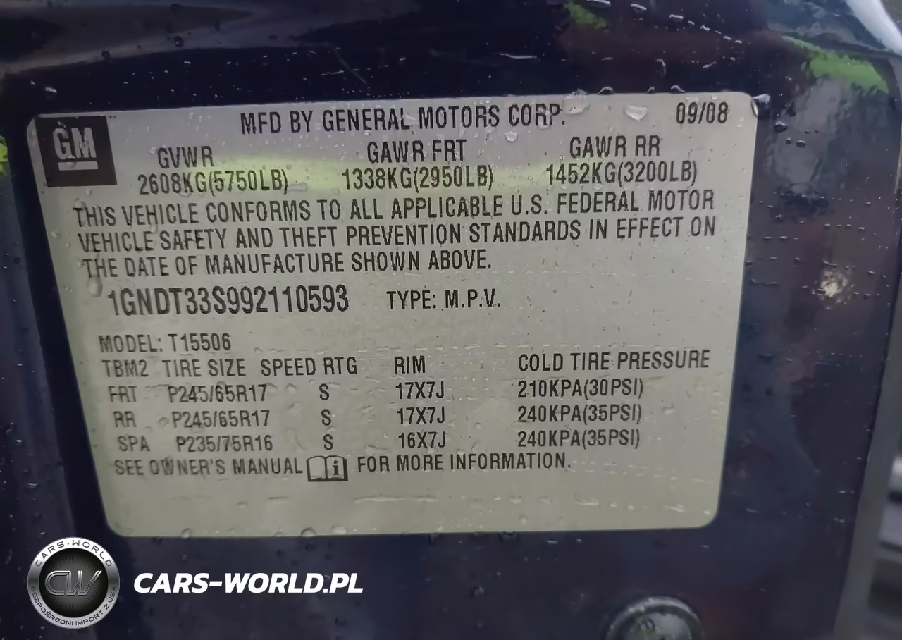 2009 Chevrolet Trailblazer Lt VIN:1GNDT33S992110593 - 9